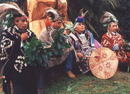 povo mapuche resistencia