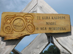 101213 rotulo maori