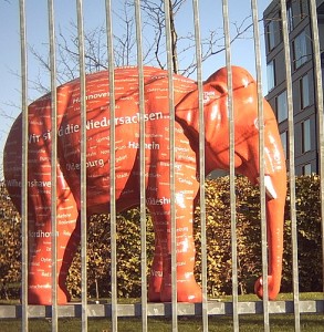 020113 elefantes