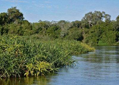 pantanal