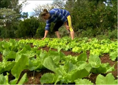 agricultura-familiar38605