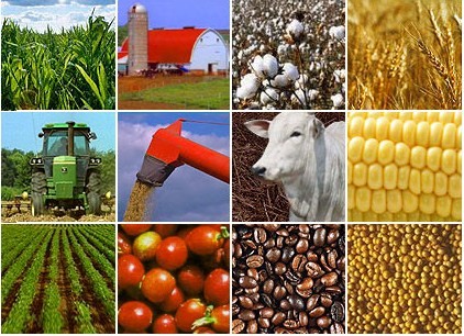 commodities-china