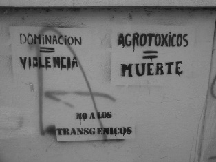 agrotoxicos