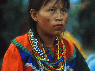 indigena-co