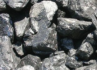 070412_Carvao--VEGETAL_04x12x625x230