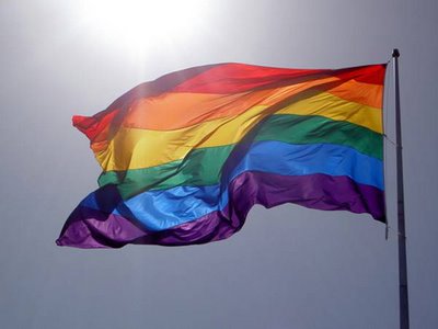 290610_bandeira_gay_n