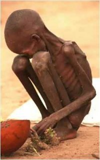 220811_somali
