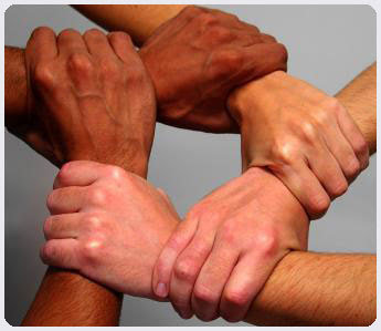 270912 cooperativa