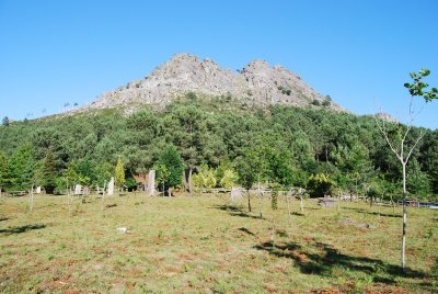 201012 galinheiro
