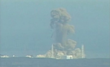 310313 nuclear japao