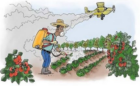 230413 agrotoxico