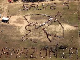 290413 salvaamazonia