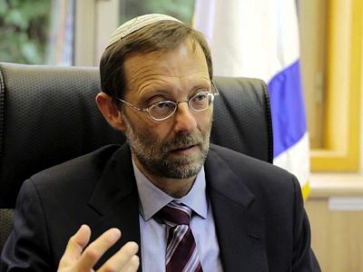 310714 feiglin