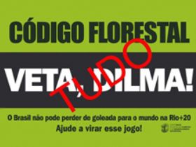 120525 florestal