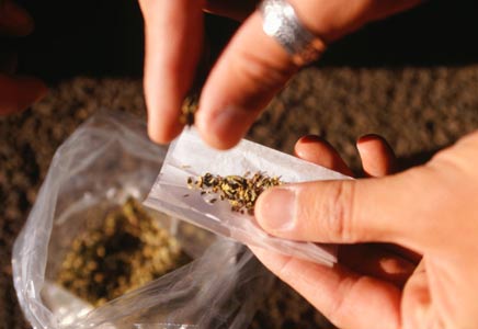 121022 maconha1