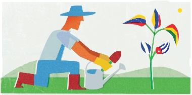 america latina vz