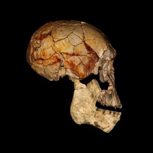 homoem-300x300