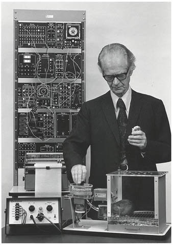 310814 Skinner-experimentando