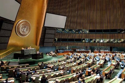 VENEZUELA REELECTA ONU 28102015