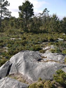 210412 petroglifop1280443