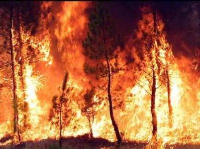 280712 incendios3