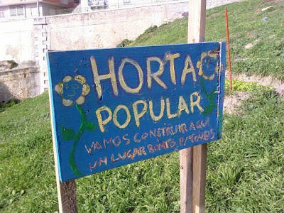 060912 hortamouraria1