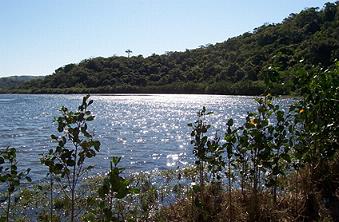 240912 fig7