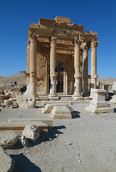 palmyra