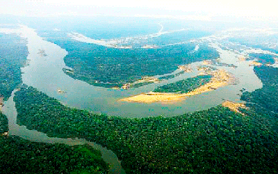 xingu