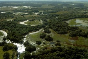 pantanal
