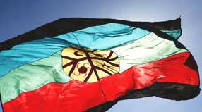 bandera-mapuche