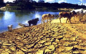 nordeste-brasil
