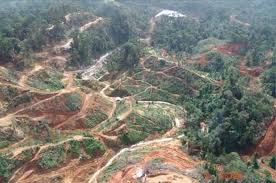 petaquila
