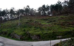 150311_marim_subida_patrimonio