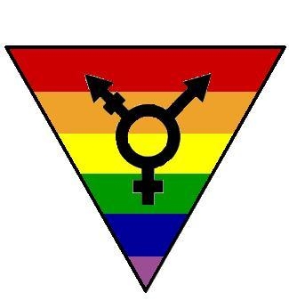 030311_triangulolgbt