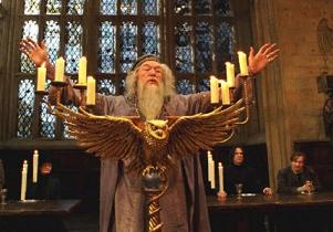 291110_dumbledore