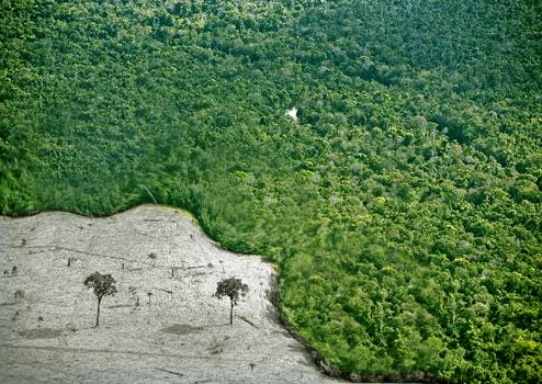 Código Florestal