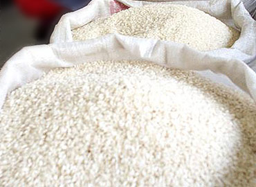 150710_arroz02