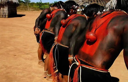 160811_indigenas