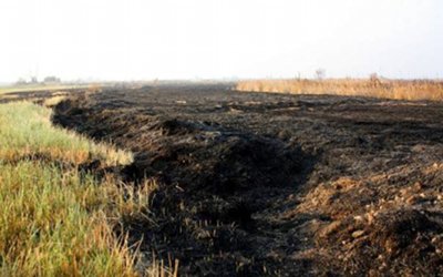311011_incendioaveiro
