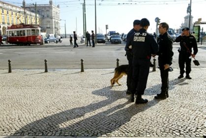 231110_caes